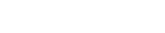 Nesoul Logo
